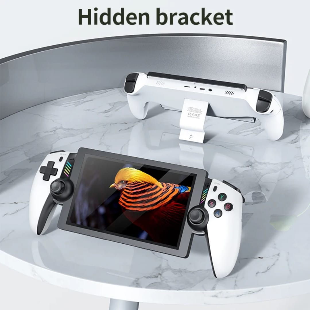 PS2 Portable Console M28
